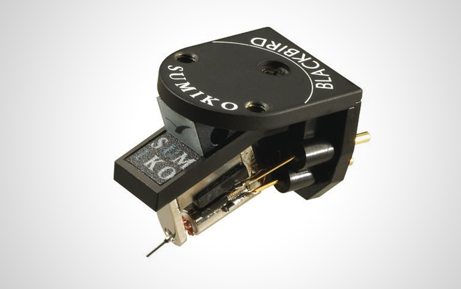 Bilde av SUMIKO BLACKBIRD